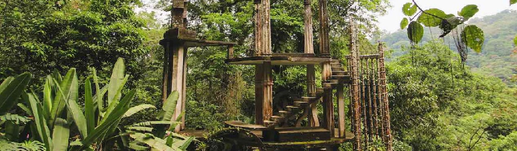 minoxidil%20san%20luis%20potosí 80