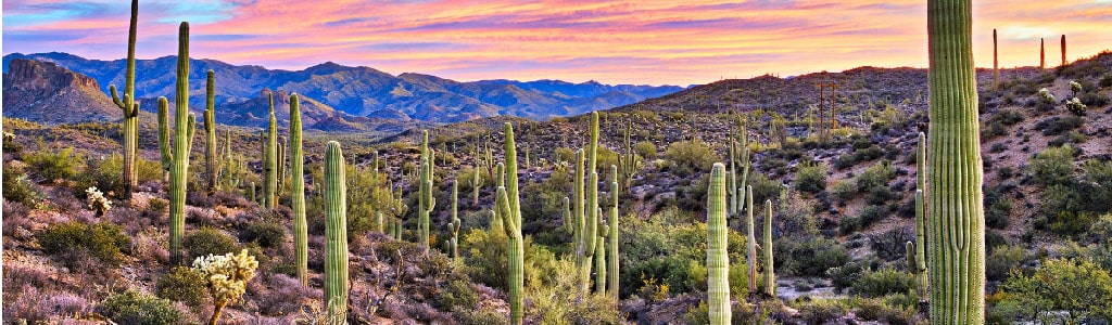 minoxidil%20sonora 80